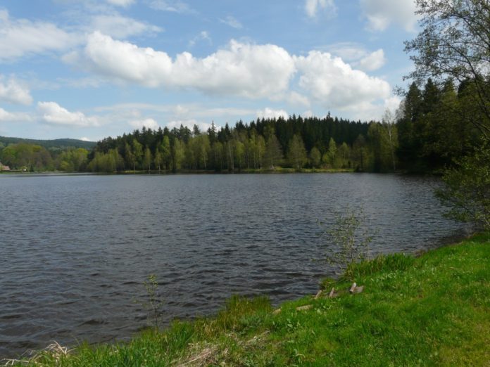 Soukromý revír Milovský rybník - kraj Vysočina