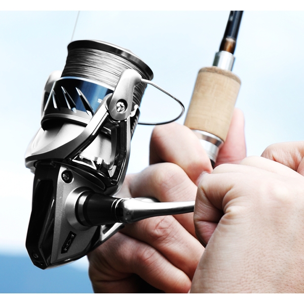 8026784_stradic_2500_2