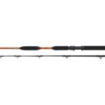 WFT Prut Never Crack Boat Cat II 2,1 m 200-1000 g - recenze a zkušenosti