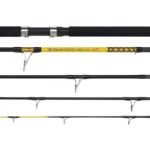 WFT Prut Never Crack Heavy Spin 2,6 m 100-400 g - recenze a zkušenosti