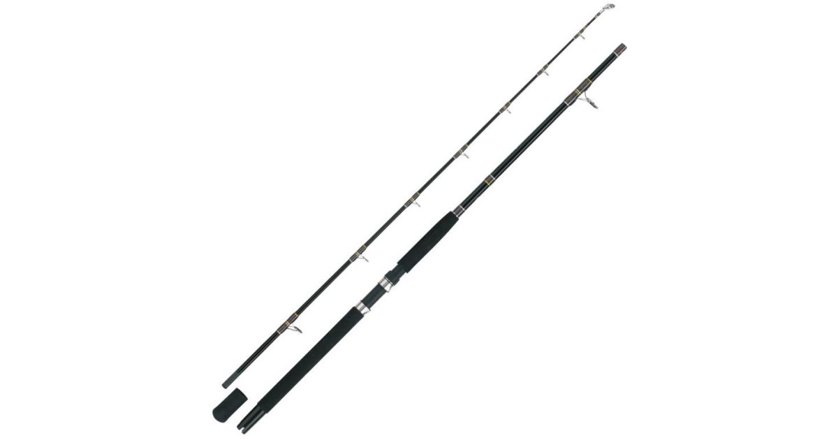 WFT Prut Oceanic Pro Tidecutter 2,1 m 200-700 g - recenze a zkušenosti