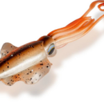 Black Cat Podvodní Splávek Calamar U-Float Natural 20 g - recenze a zkušenosti