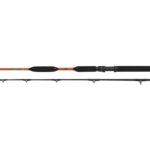 WFT Prut Never Crack Bank Cat II 3,15 m 200-1 000 g - recenze a zkušenosti