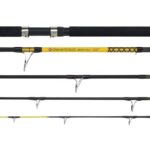 WFT Prut Never Crack Big fish 2,4 m 150-700 g - recenze a zkušenosti