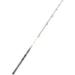 WFT Prut WFT Catbuster Boat 2,1 m 150-600 g - recenze a zkušenosti