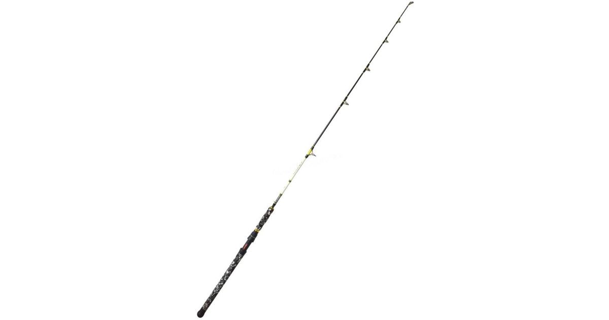 WFT Prut WFT Catbuster Boat 2,1 m 150-600 g - recenze a zkušenosti