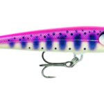Rapala Wobler Floater Elite GDPY
			

			
	            
		            Floater Elite 85 postavený na legendárním balzovém designu a osvědčené "Wounted-Minnow"…

		            

			            
			            				            
					            video				            
			            
			            				            
					            1 varianta				            
			            
			            		            
	            

				
					
											● Skladem
						            

			

									
						375
						
															Kč - recenze