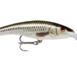 Rapala Wobler Deep Tail Dancer ROL
			

			
	            
		            Obloukovité prohnuté tělíčko z balzového dřeva vykazuje širokou ocasní akci. Díky…

		            

			            
			            
			            				            
					            2 varianty				            
			            
			            		            
	            

				
					
											● Skladem
						            

			

				
					

						

						
						
							296
							
																	Kč
															
						

						

													329 Kč
						
					

											
							-10 % - recenze