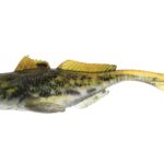 Westin Gumová Nástraha Gunnar The Goby Black Mouth  - recenze