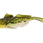 Westin Gumová Nástraha Gunnar The Goby Headlight Goby  - recenze