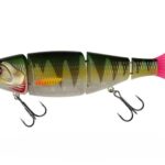 -10 %
                    
				
									
                    
	                    		                    
				
				
	
			
				Fox Rage Gumová nástraha Replicant Swim Perch
			

		

		
            
                Univerzální nástraha s realistickým tělem a atraktivním pohybem, ideální pro mělké i…
            

			
                
									
                        novinka                    
				
									
                        1 varianta                    
				
				
							

			

					
									Očekáváme 05. 01. 26
							

			
                    450 Kč
                    	                    500 Kč - recenze