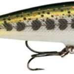 Rapala Wobler Count Down Sinking MD  - recenze