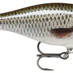 Rapala Wobler Shallow Shad Rap ROL  - recenze