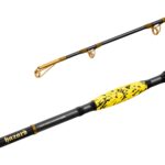 Delphin Prut Hazard BxG 285cm 505g 2 díl  - recenze