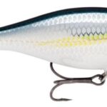 Rapala Wobler Shallow Shad Rap ALB  - recenze